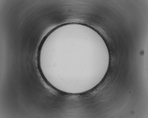 X0000101671038200808071040