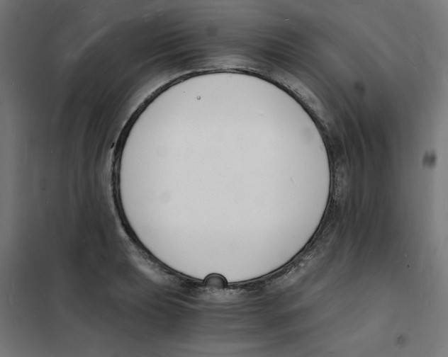 X0000101671039200808071040