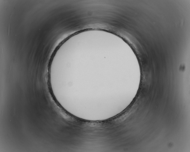 X0000101671040200808071040