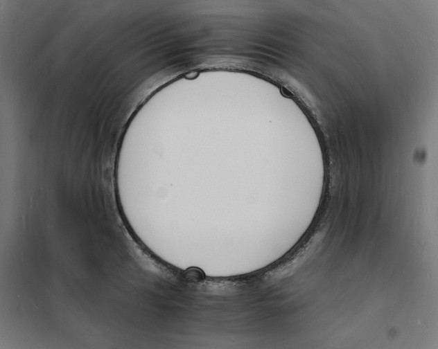 X0000101671041200808071040