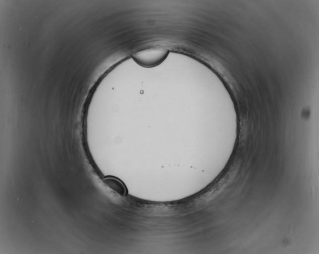 X0000101671042200808071040
