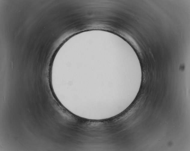 X0000101671043200808071040