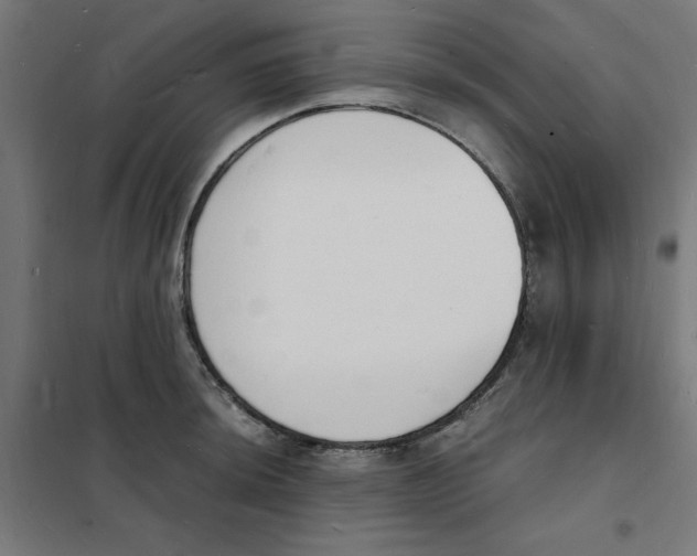 X0000101671044200808071040
