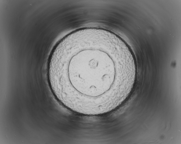 X0000101671045200808071040