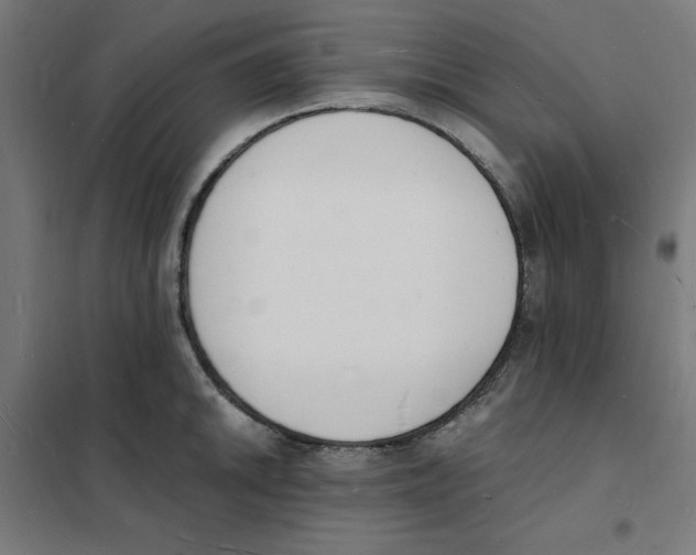 X0000101671046200808071040