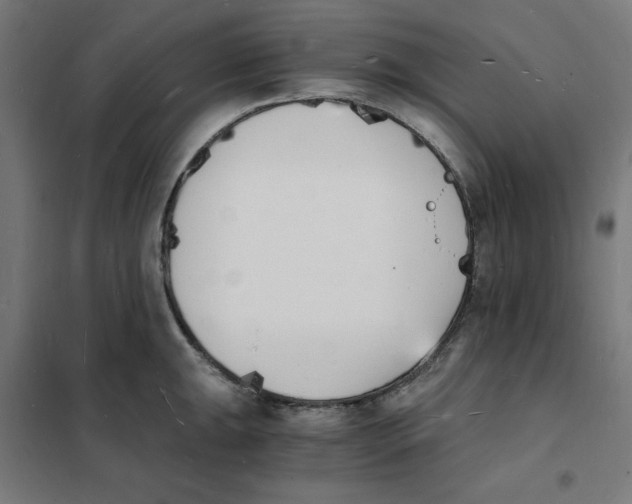 X0000101671047200808071040