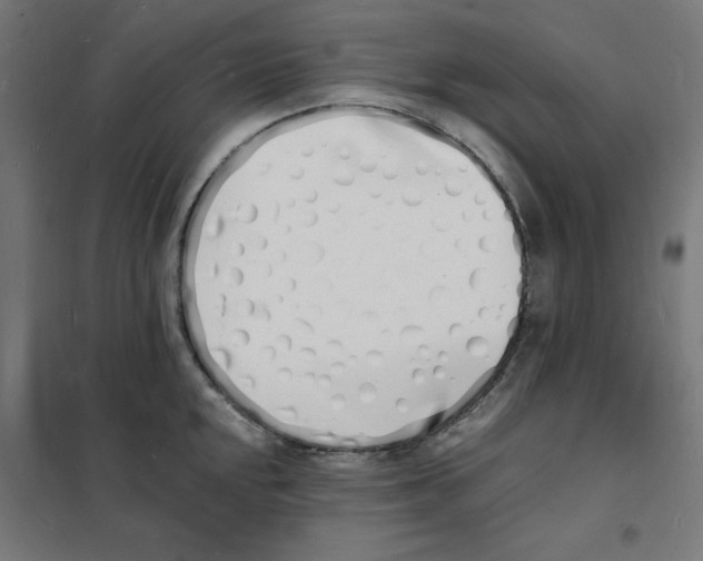 X0000101671048200808071040