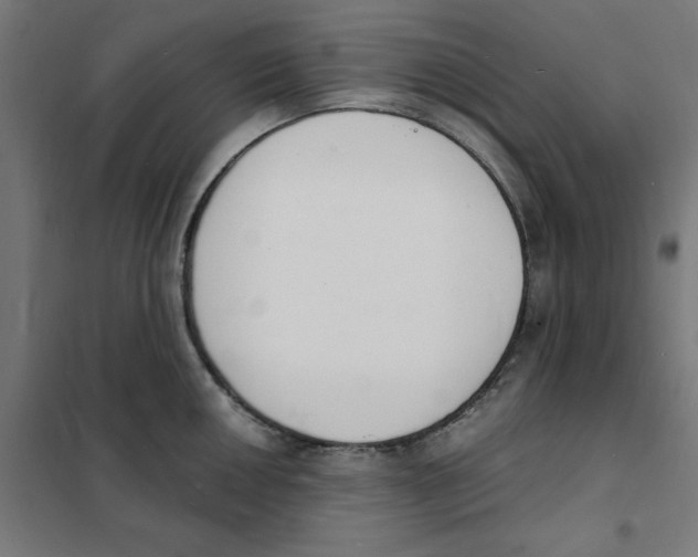 X0000101671050200808071040