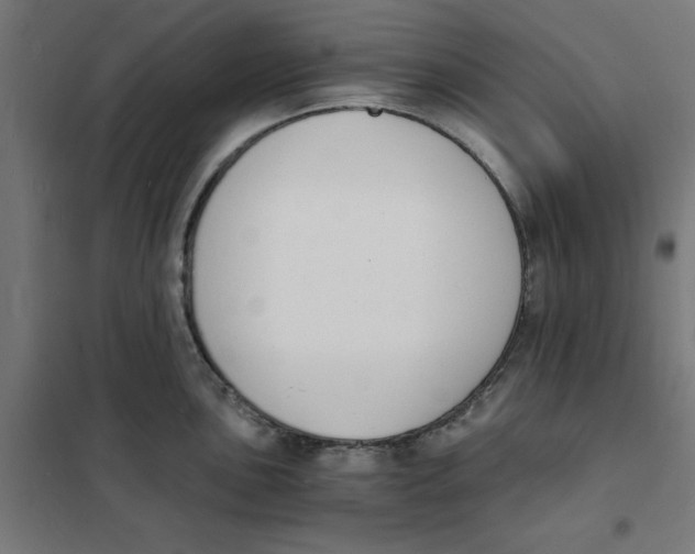 X0000101671051200808071040