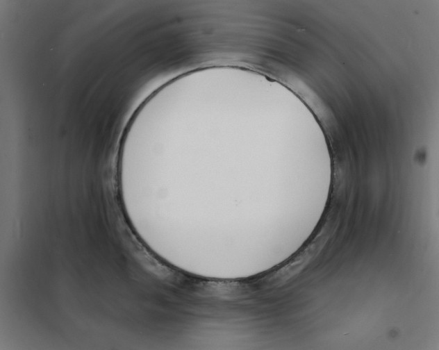 X0000101671052200808071040