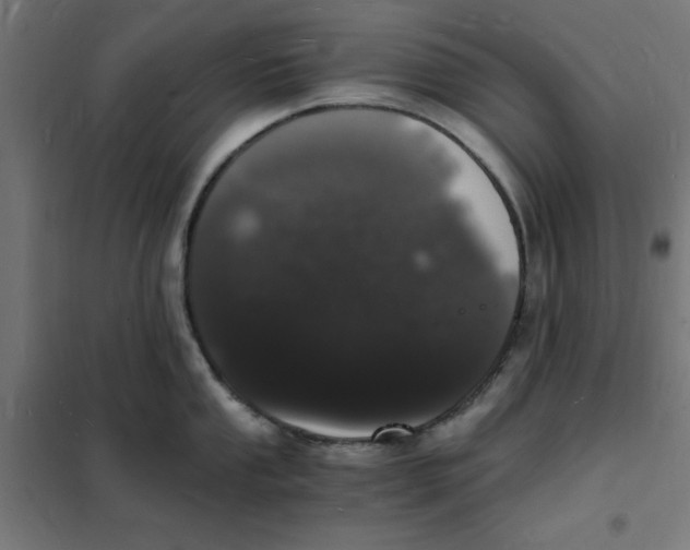 X0000101671053200808071040