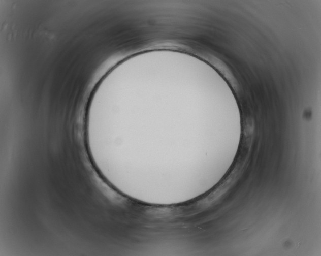 X0000101671054200808071040