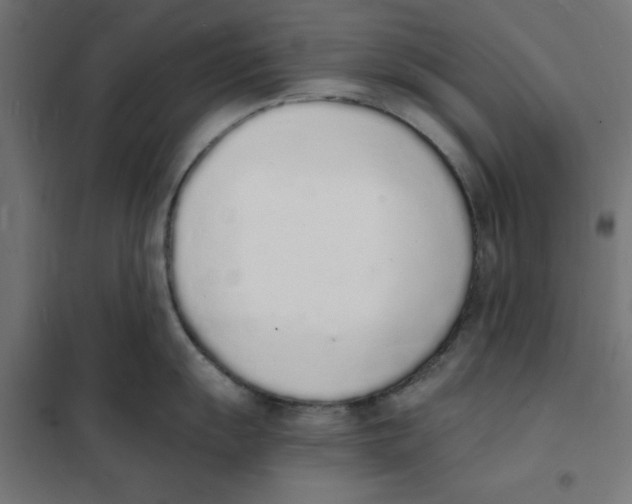 X0000101671055200808071040