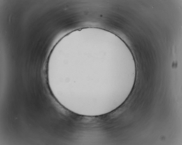 X0000101671056200808071040