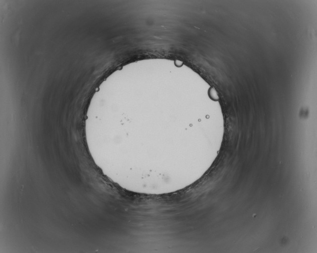 X0000101671057200808071039