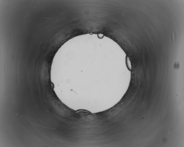 X0000101671058200808071039