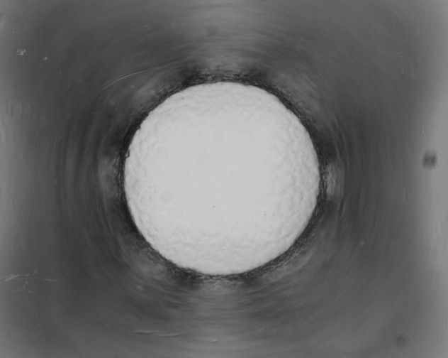 X0000101671059200808071039