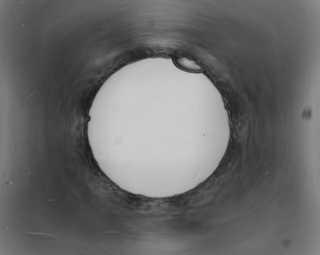 X0000101671061200808071039