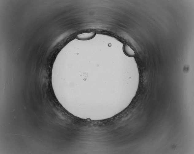X0000101671064200808071039