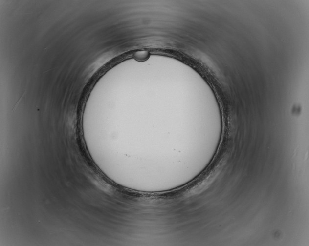 X0000101671065200808071039