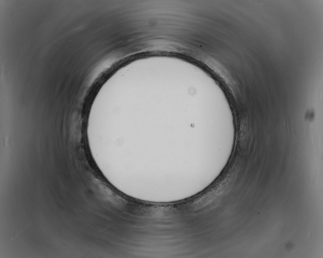 X0000101671067200808071039