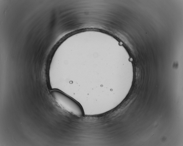 X0000101671068200808071039