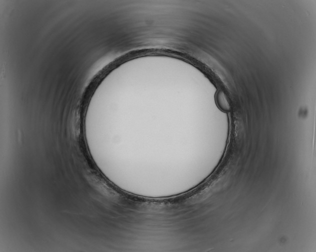 X0000101671069200808071039