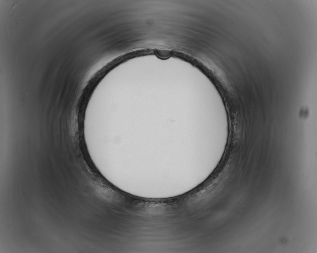 X0000101671070200808071039