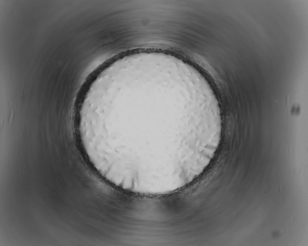 X0000101671071200808071039