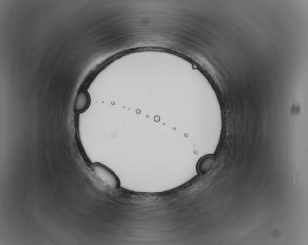 X0000101671072200808071039