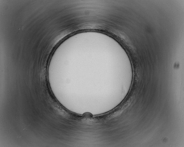 X0000101671073200808071039