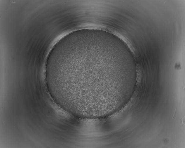 X0000101671074200808071039
