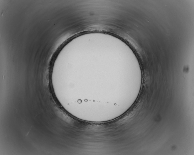 X0000101671075200808071039