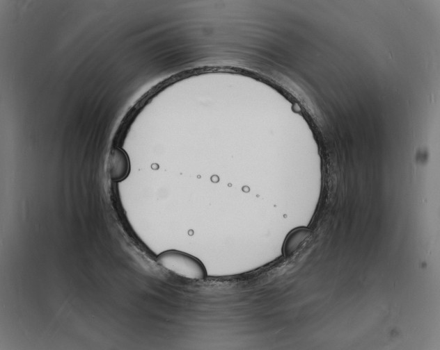 X0000101671076200808071039