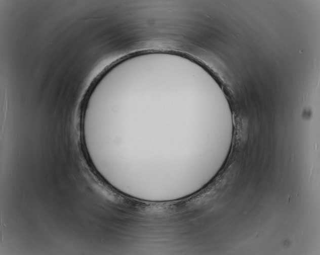 X0000101671078200808071039