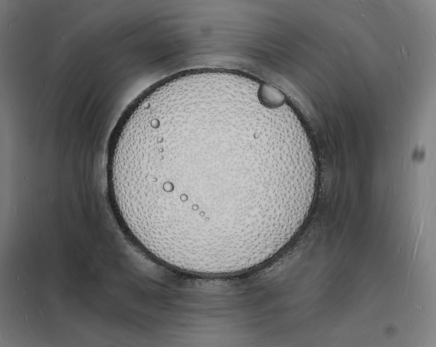 X0000101671079200808071039