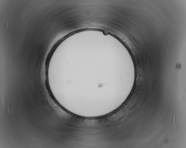X0000101671080200808071039