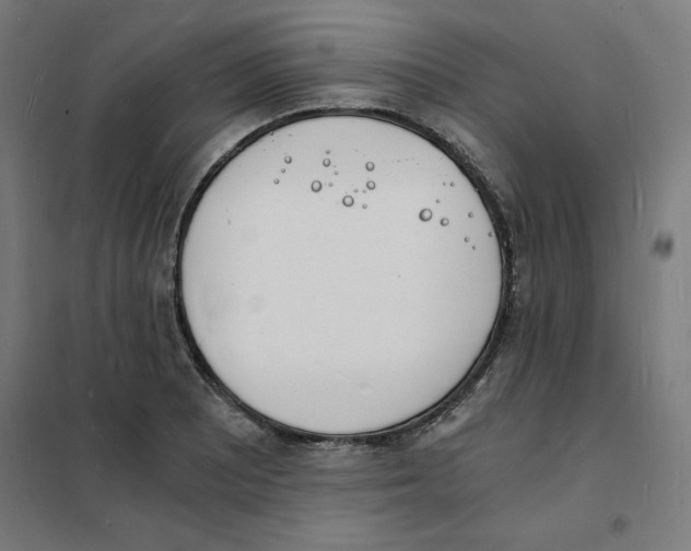 X0000101671081200808071039