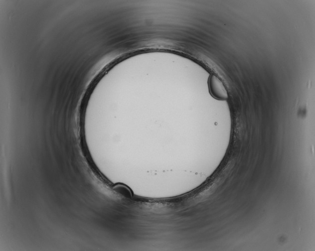 X0000101671082200808071039