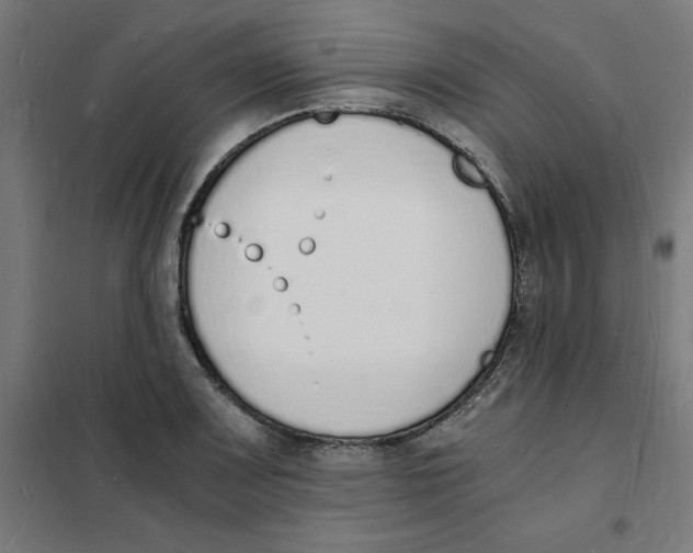 X0000101671083200808071039