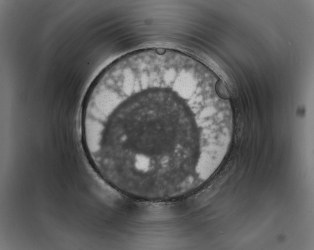 X0000101671084200808071039