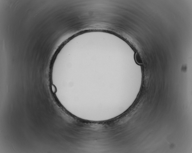X0000101671085200808071039