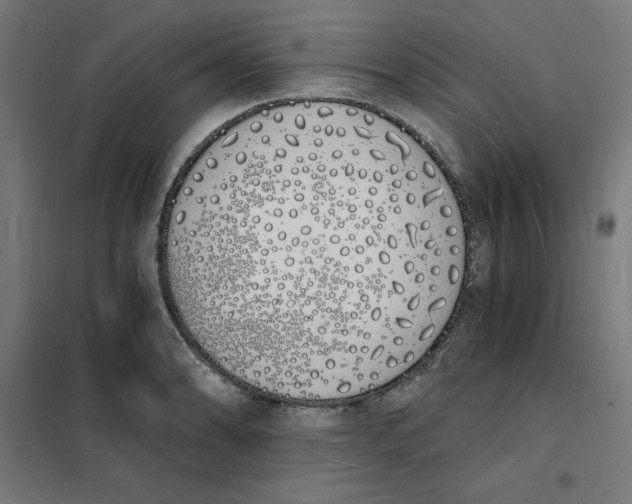 X0000101671086200808071039