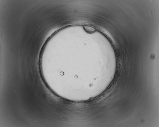 X0000101671087200808071039