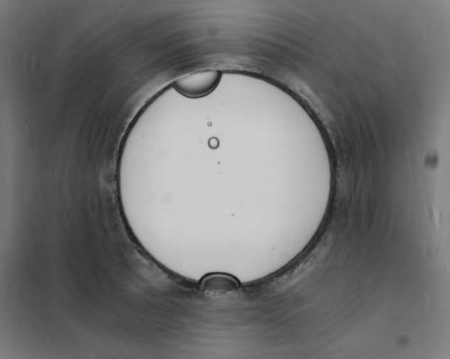 X0000101671089200808071039