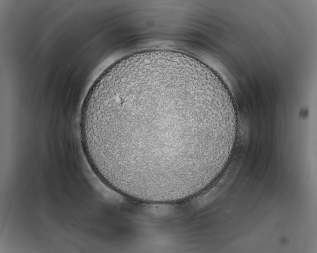 X0000101671090200808071039