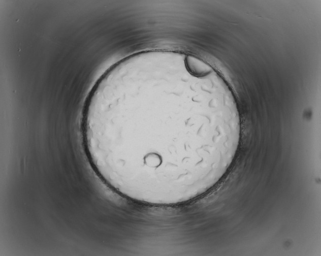 X0000101671091200808071039