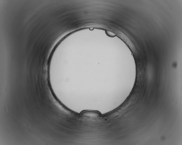X0000101671092200808071039
