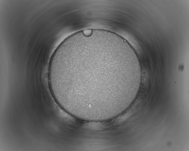 X0000101671094200808071039