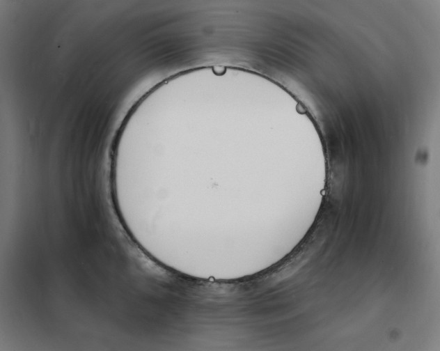 X0000101671096200808071039